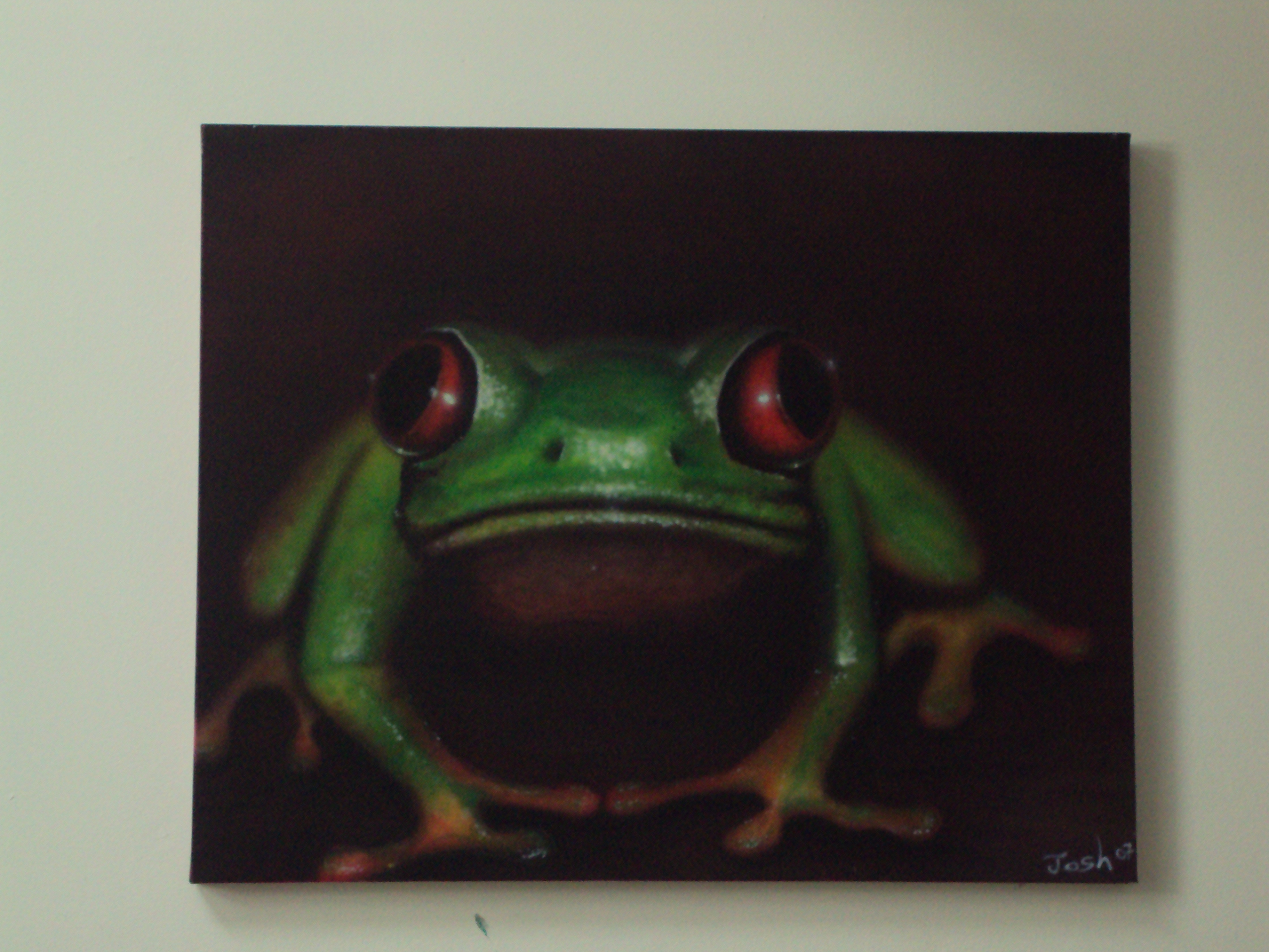 Portrait of a Tree Frog