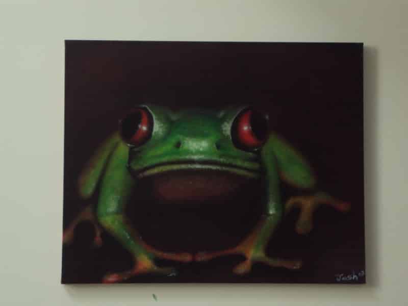 portrait of a tree frog